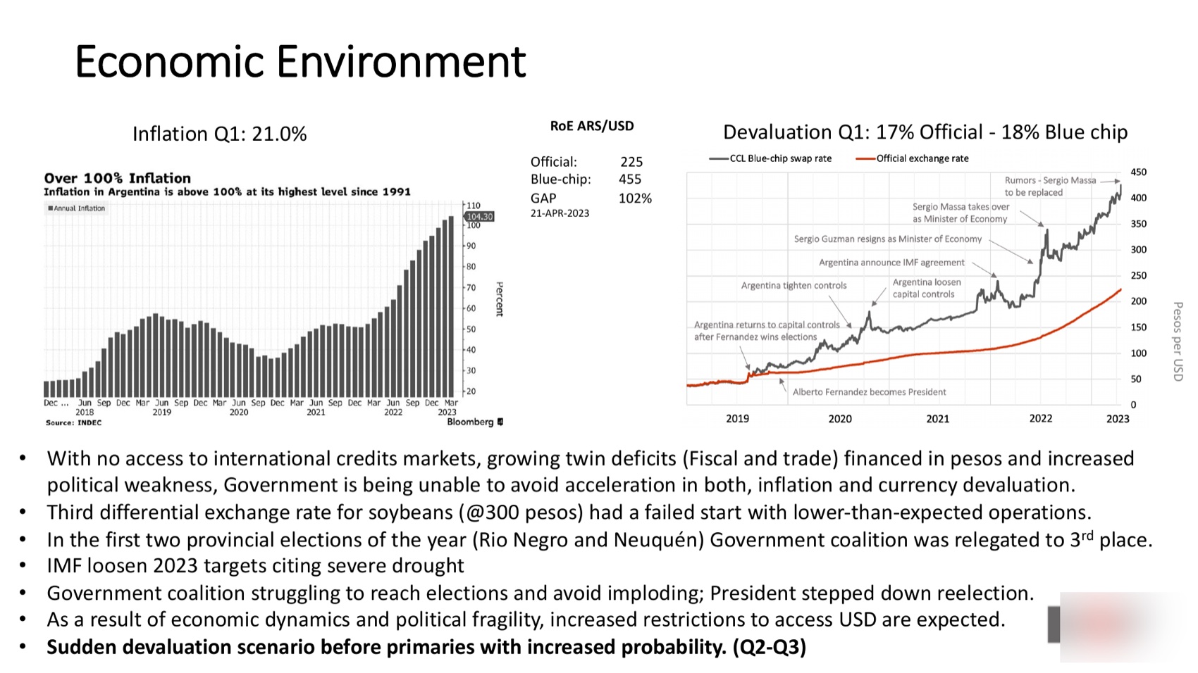 Economic environment — inflation above 100% and a 102% gap between official and blue-chip exchange rates
